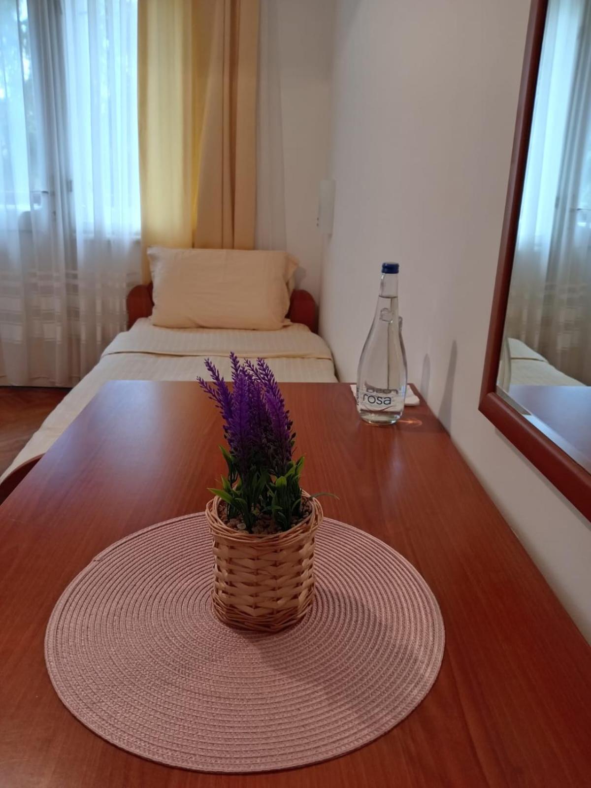 Hotel Vlasina - Vlasinsko Jezero Vlasina Rid Eksteriør bilde
