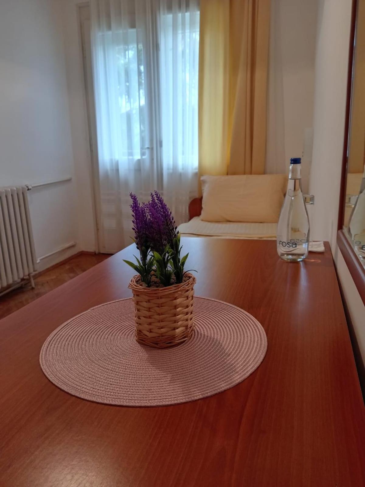 Hotel Vlasina - Vlasinsko Jezero Vlasina Rid Eksteriør bilde