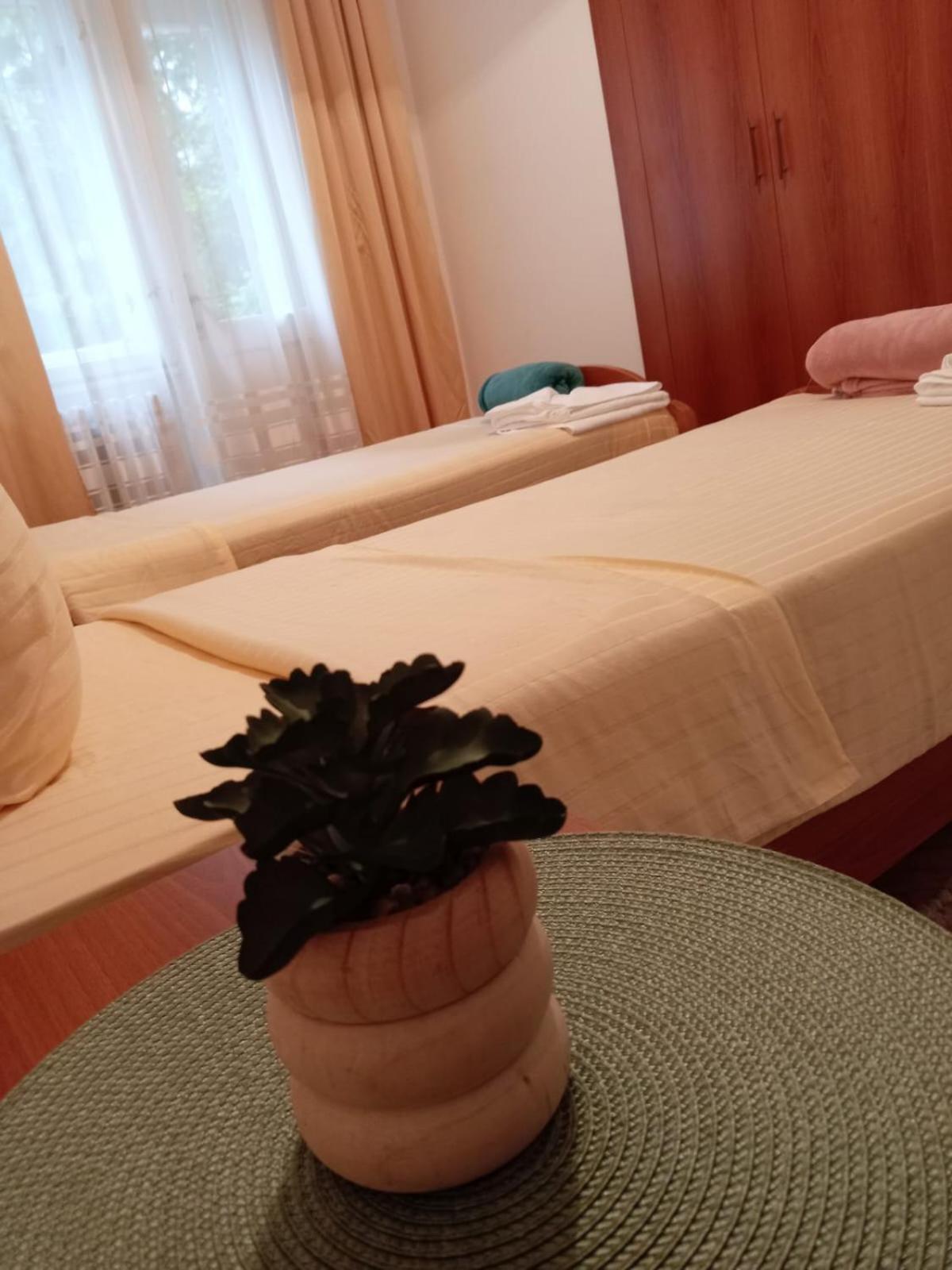 Hotel Vlasina - Vlasinsko Jezero Vlasina Rid Eksteriør bilde