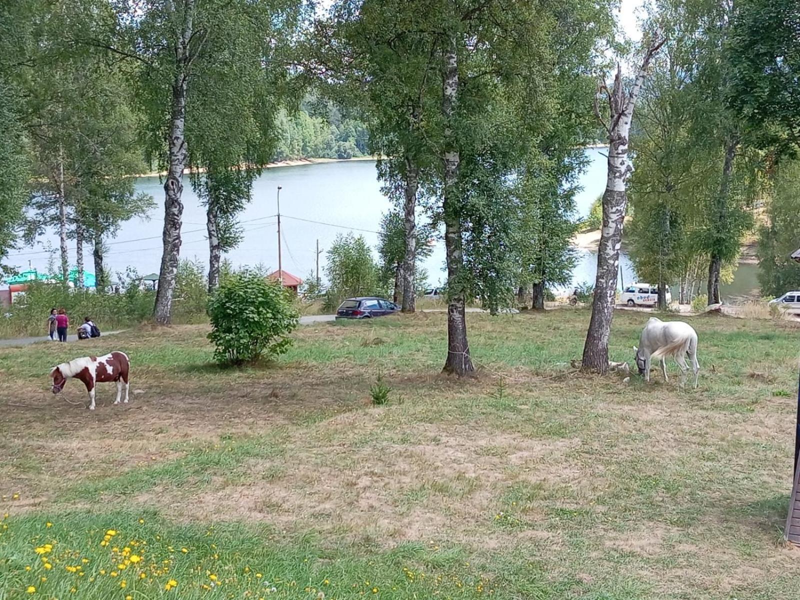 Hotel Vlasina - Vlasinsko Jezero Vlasina Rid Eksteriør bilde