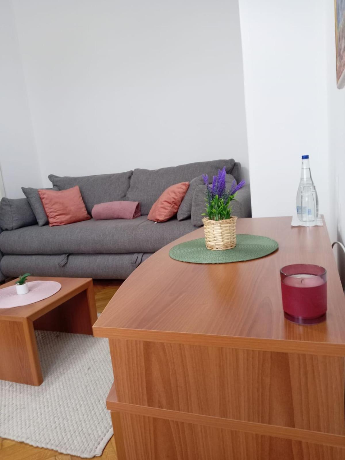 Hotel Vlasina - Vlasinsko Jezero Vlasina Rid Eksteriør bilde